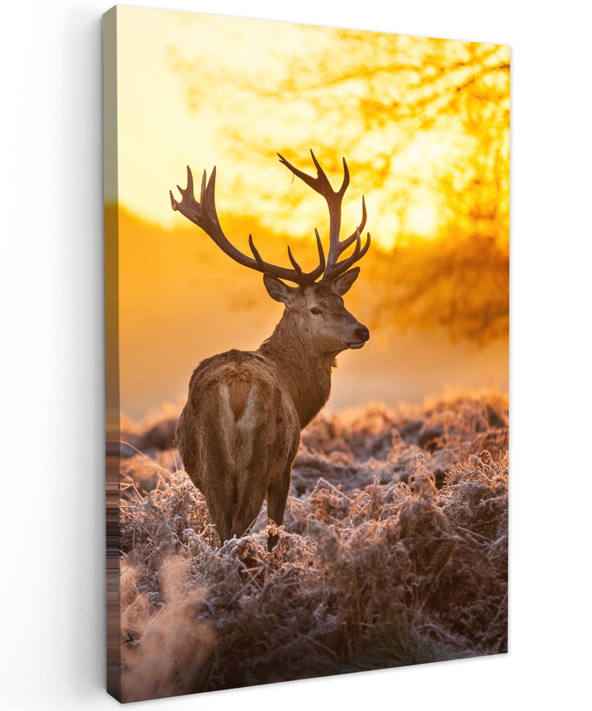 MuchoWow© Canvas Wall Art 31"x47" / 80x120 cm Decor Hanging Pictures for Living Room Canvus Artwork Deco Walls Deer - Animals - Sunset - Winter - Heather - Nature — image 1