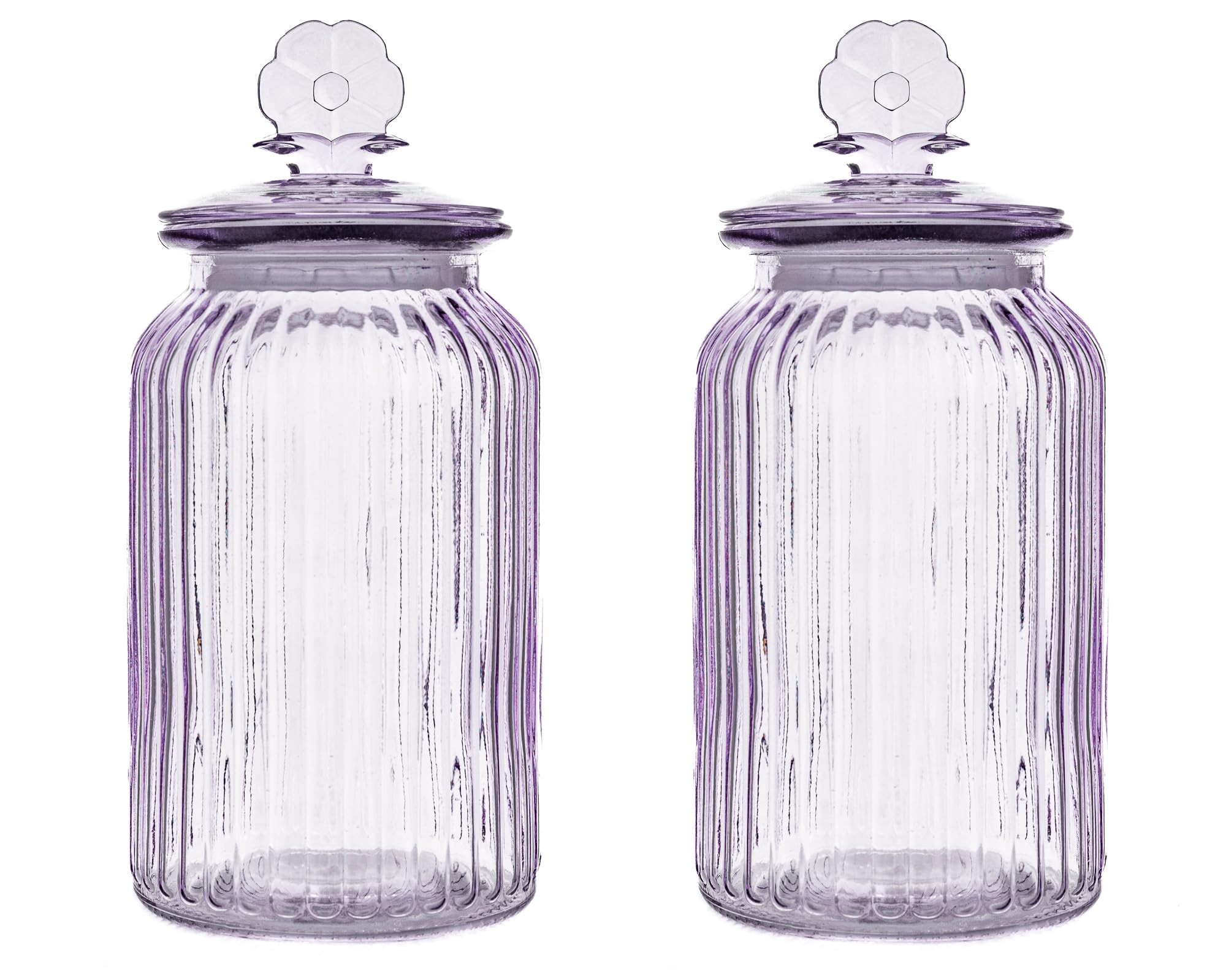 Textured Glass Flower Canister by 10 Strawberry Street – 44 oz, 44.0 fluid_ounces, Glass, BLUE, Pack of 2