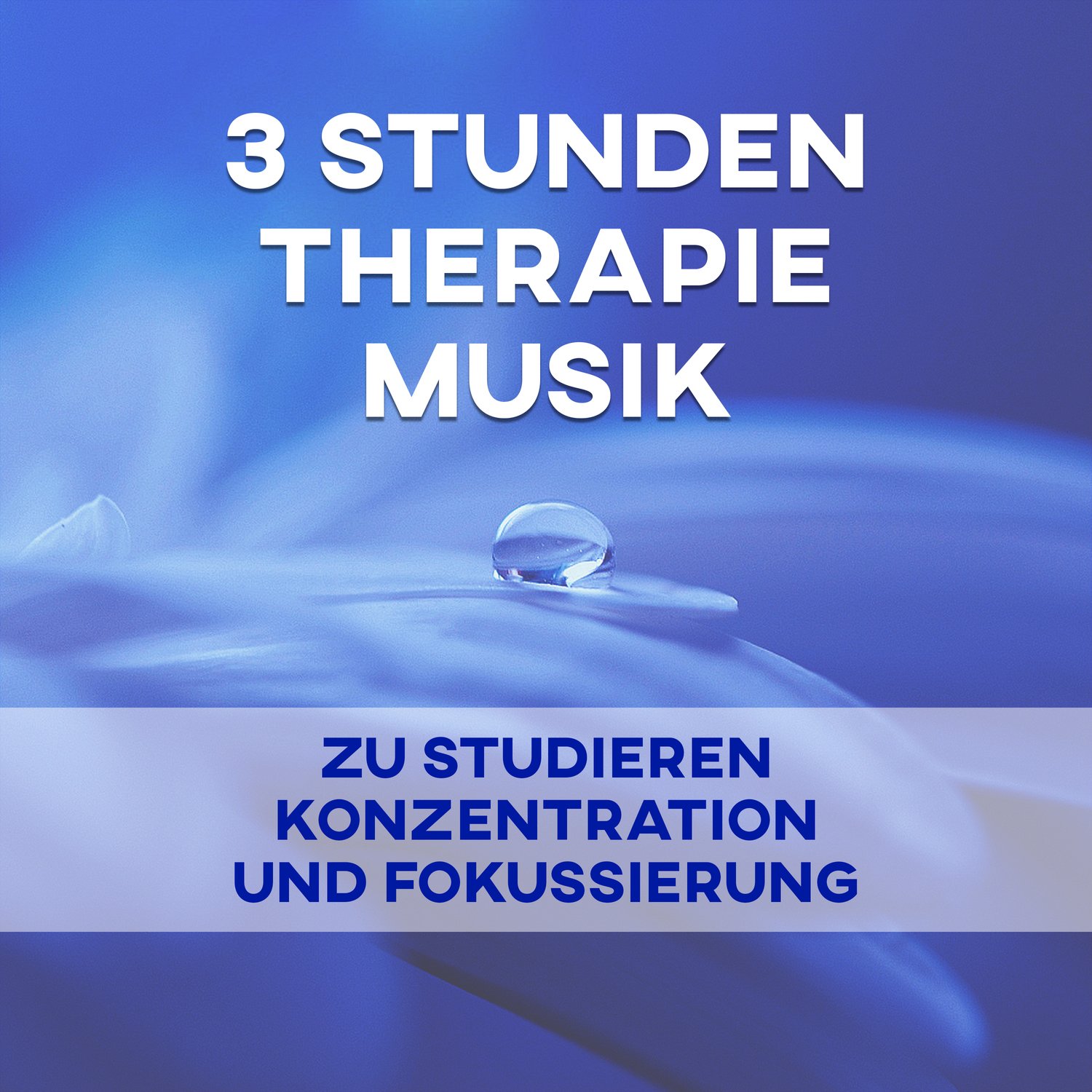 Konzentration Musikexperten