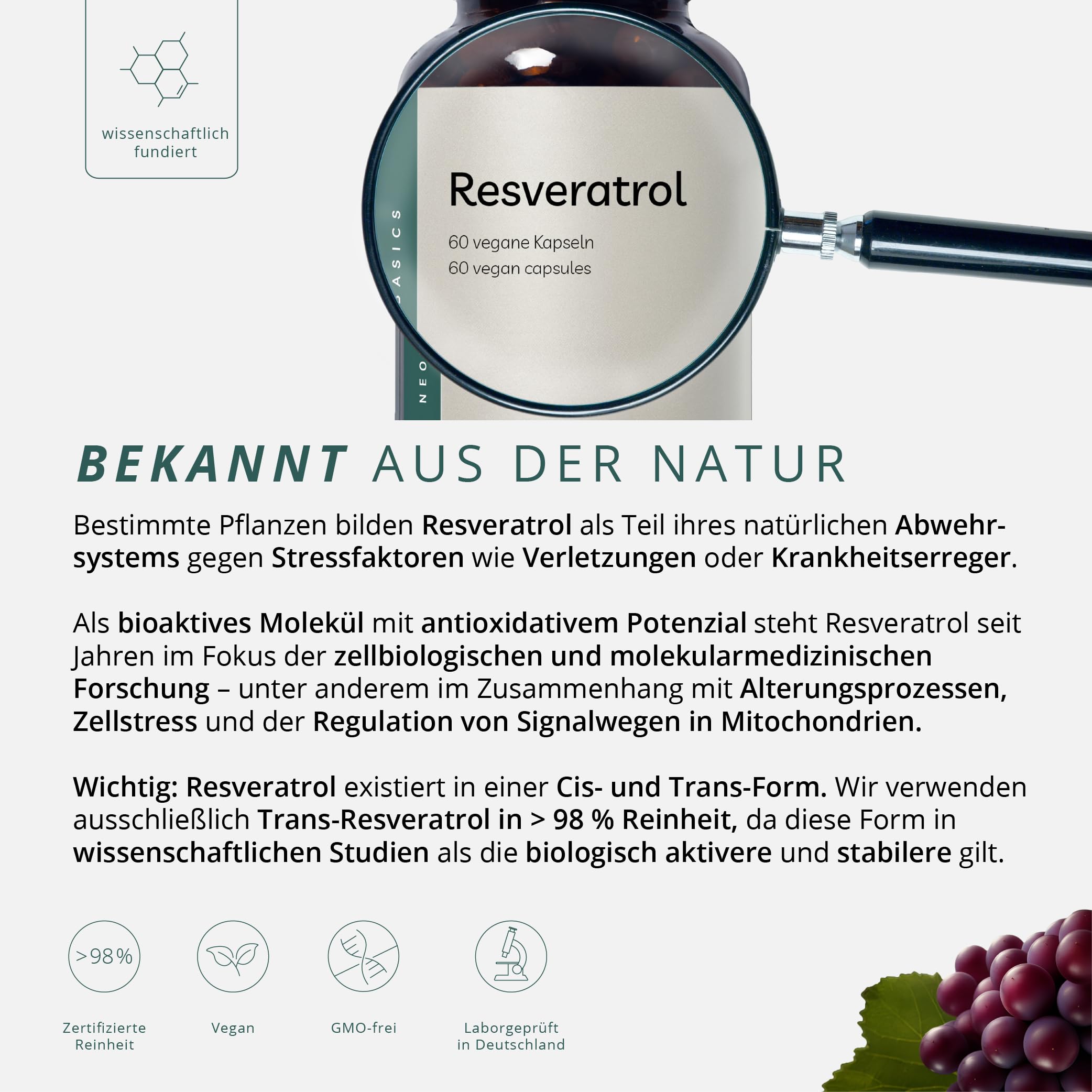 Trans-Resveratrol - 2 x 60 Kapseln | 500mg pro Kapsel 98% Pures Premium Resveratrol | Vegan & Glutenfrei - Ohne Gentechnik & Ohne Zusätze