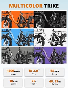 T300 Adults Electric Trike Bike, 1200W Peak Motor & 624Wh Removable Battery,18x3.0 Fat Tire Foldable 3-Wheel E-Bike with Step-Thru Design, Up to 65 Miles, Gift for Parents