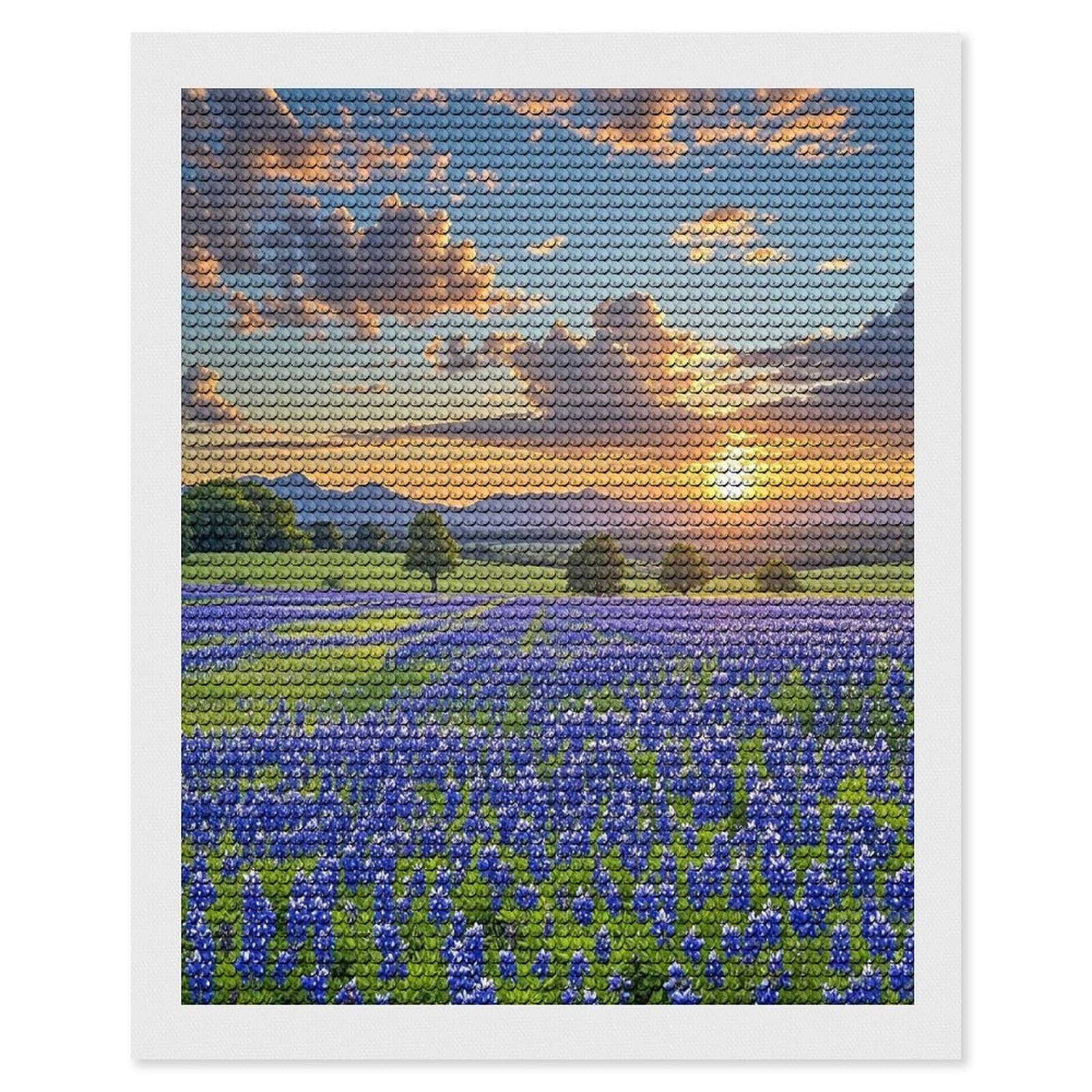 Texas Bluebonnets Scenery Diamond Painting Kits for Beginners DIY Diamond Art Kits for Adults Full Drill Round Diamond Dot Gem Art Painting Fun DIY Crafts for Home Kitchen Wall Decor Gift 16"x20"