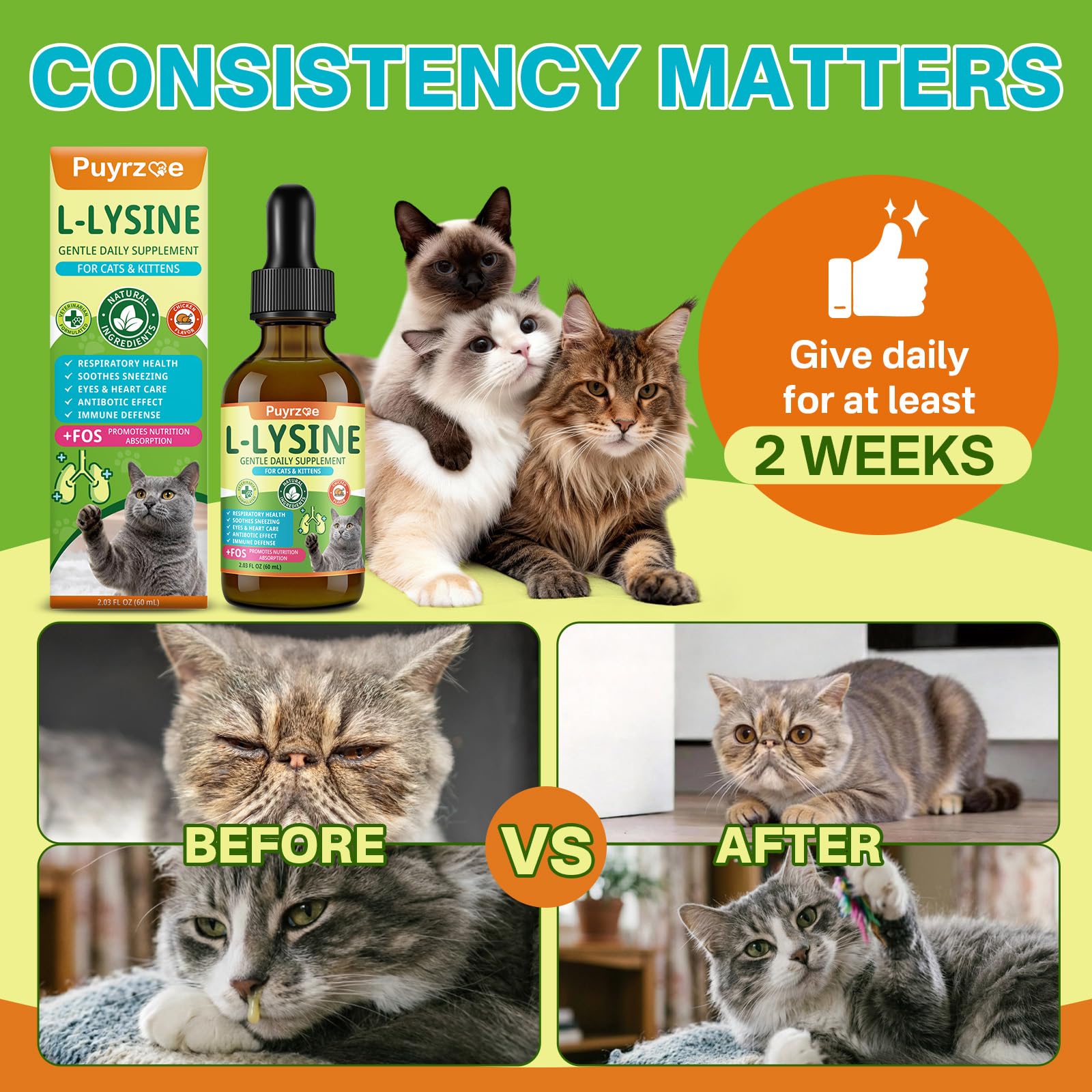 Lysine for Cats, L-Lysine for Cats Drops, Respiratory & Immune Support — Amazon image 5