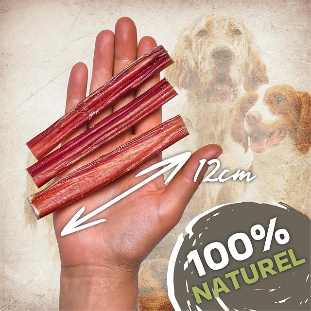 Foto 2 de 6 de Pizzle de vacuno para perros, 12 cm, talla M, 10 unidades (300 g), sin cereales
