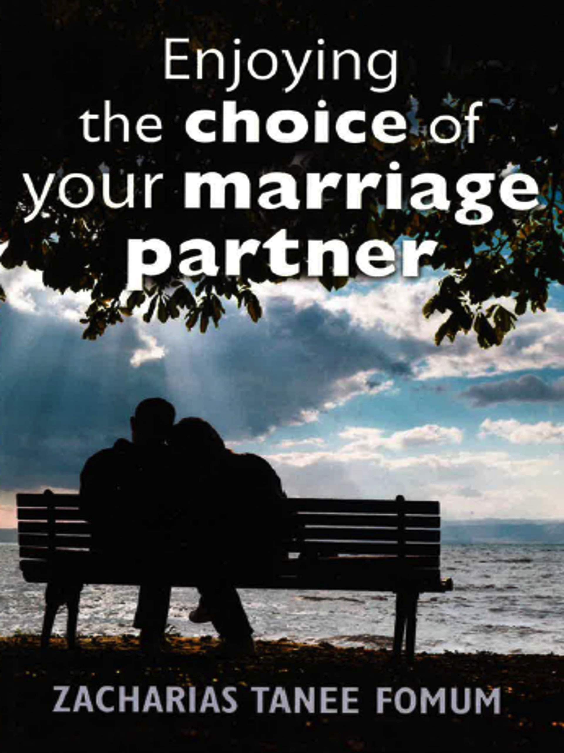 Enjoying the Choice of Your Marriage Partner (God, Sex and You Book 2)