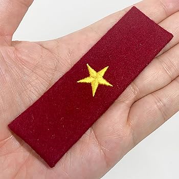 軍用肩章 赤と金 星エンブレム 軍用肩章 赤と金 星エンブレム