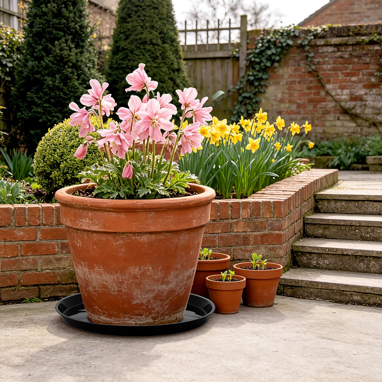 Plant Saucers - Protect Your Floors & Pots -7 Plant Saucers - Protect Your Floors & Pots -7