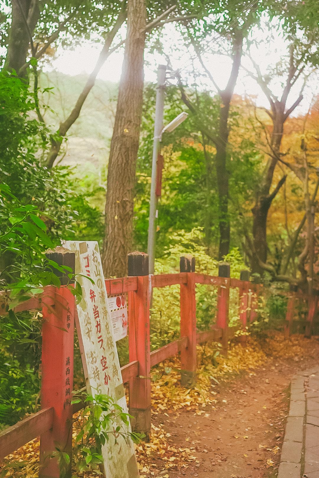 Perfect filter voor op reis