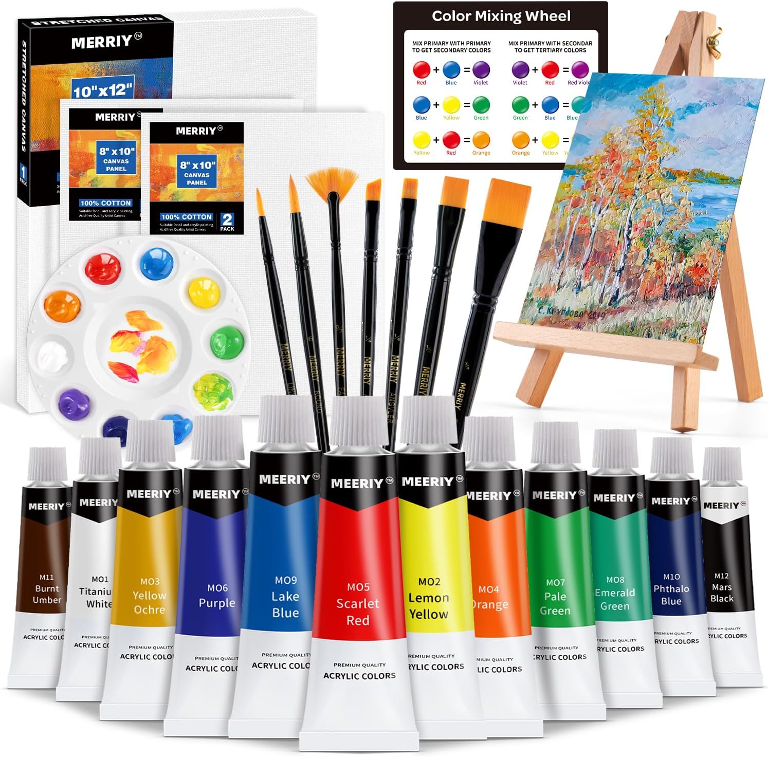 MERRIY Art Paint Set for Kids, Painting Supplies Kit with