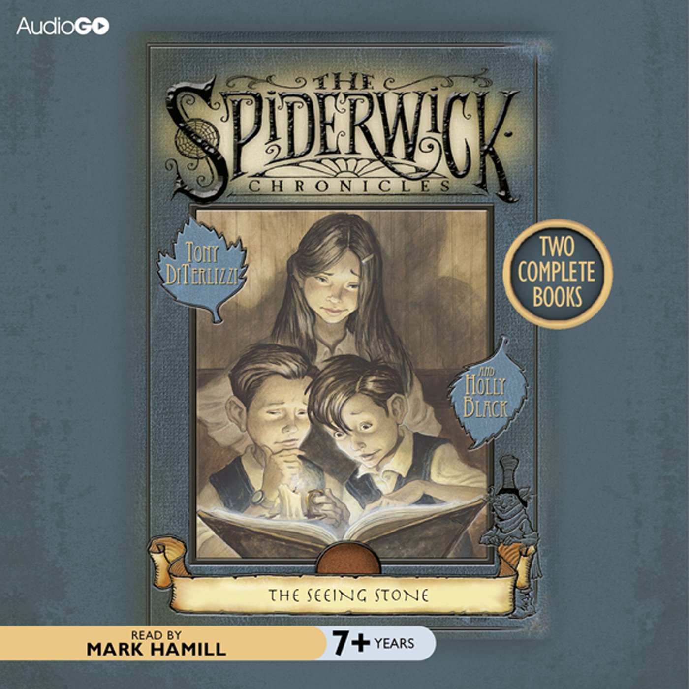 Cover art for The Seeing Stone
