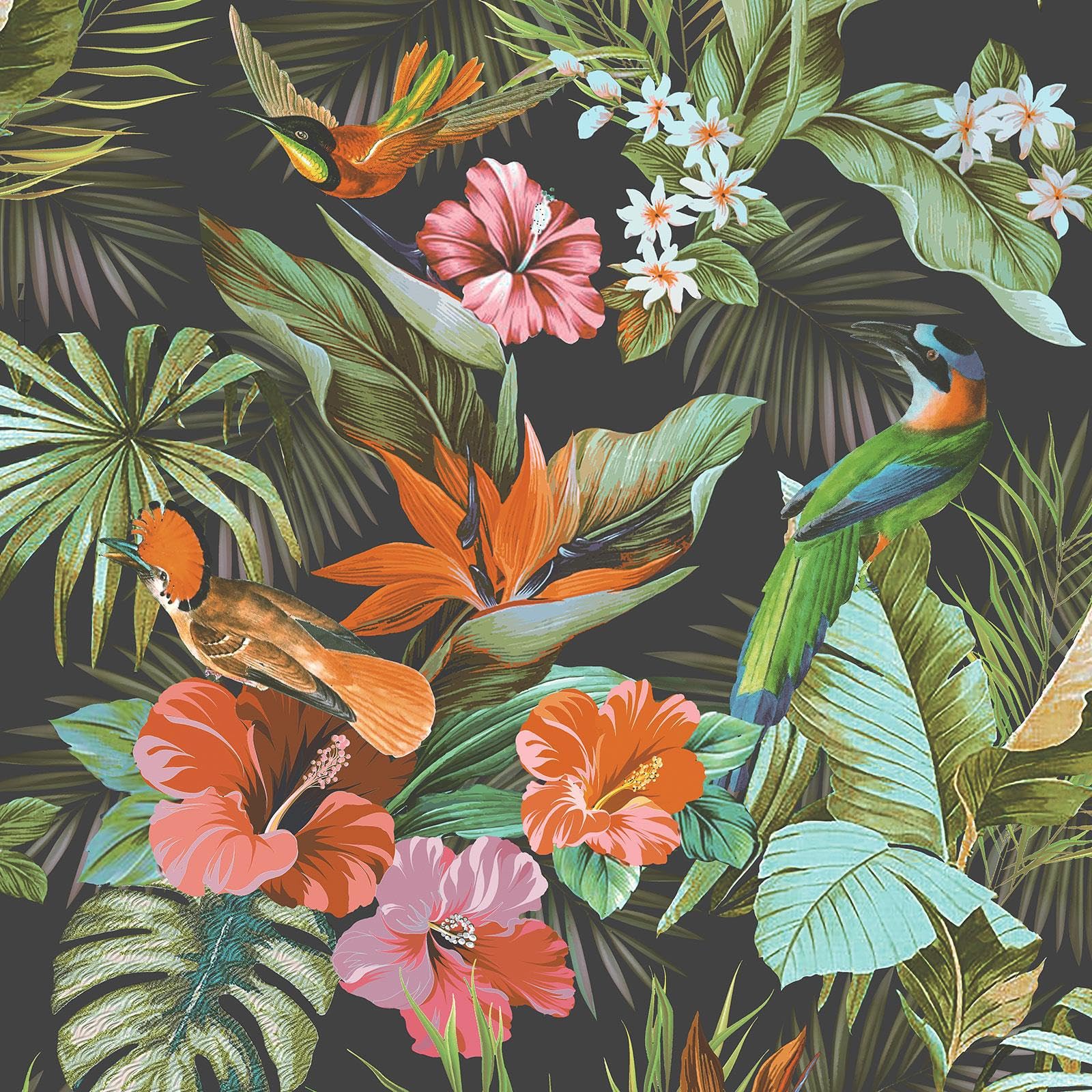 Rasch Vasari Paradise Birds Black Wallpaper 539059