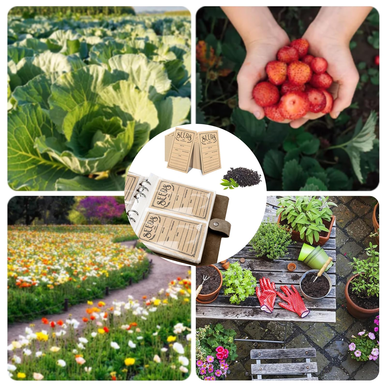 Lot de 100 enveloppes auto-adhésives pour rangement de semences de jardin, organiseurs, paquets d'économie, boîte, classeur de collection et organisation – Idéales pour chaque jardinier (marron)