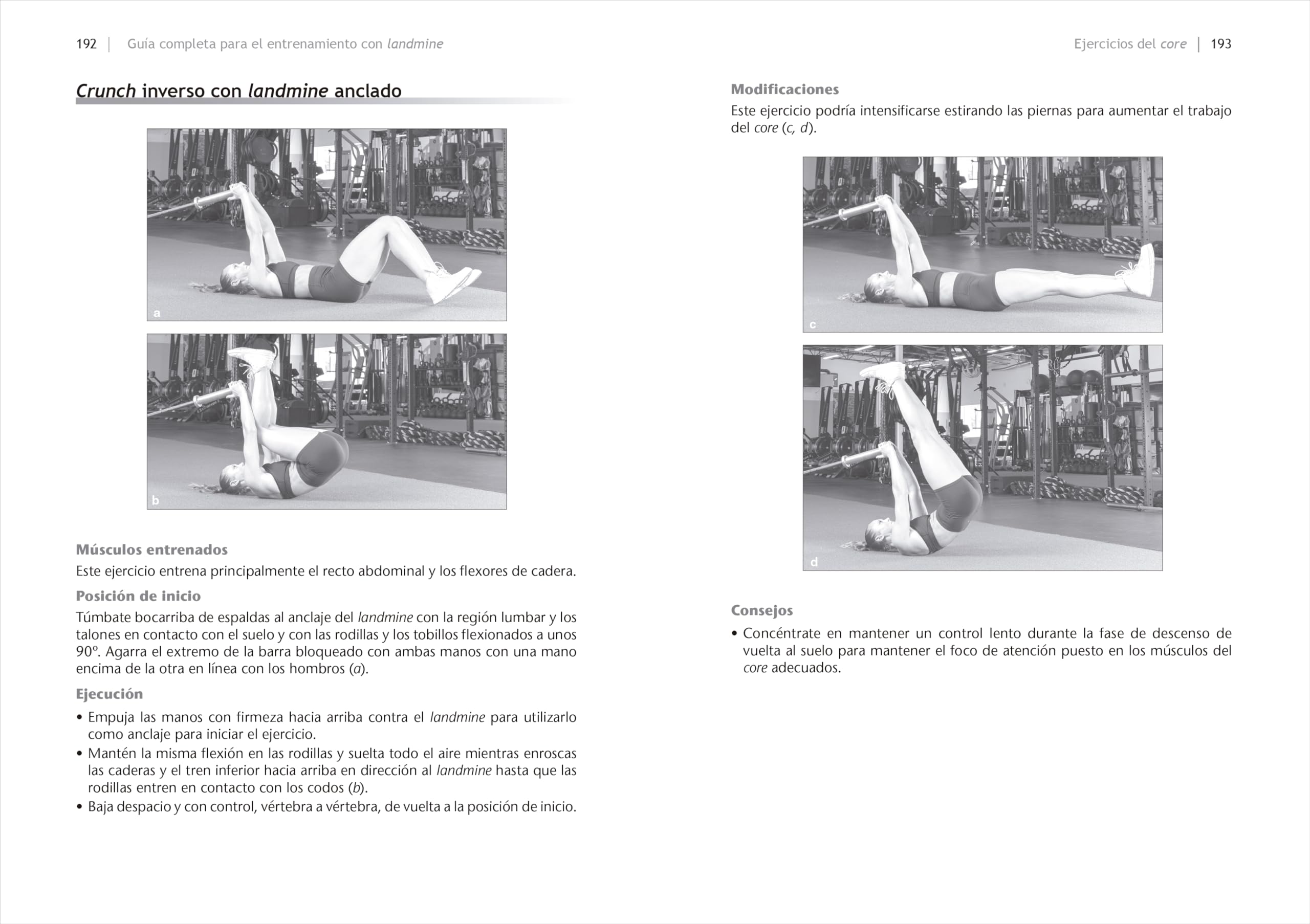 Guía completa para el entrenamiento con Landmine: Aumenta tu fuerza, desarrolla tu masa muscular y mejora tu capacidad funcional