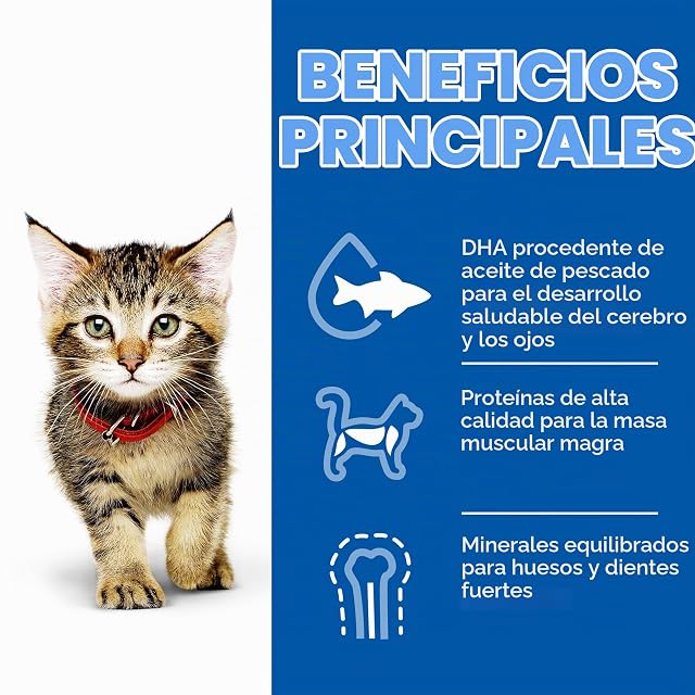 Foto 3 de 5 de Hills Pet Nutrition S.L. SP Feline Kitten Blue Fish 12 Bolsitasx85G 604038 * 1000 g