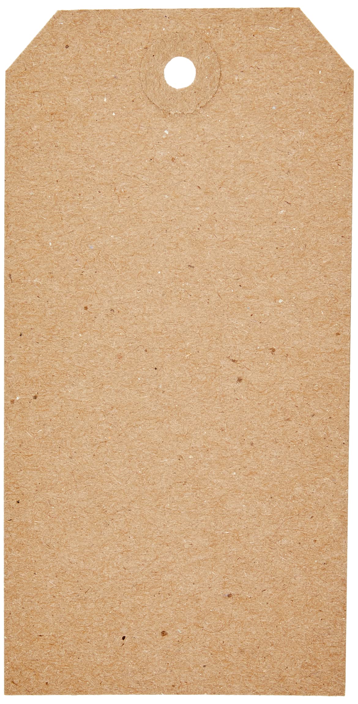 MeritUnstrung Tag 120x60mm Buff Ref TG8025 [Pack of 1000]