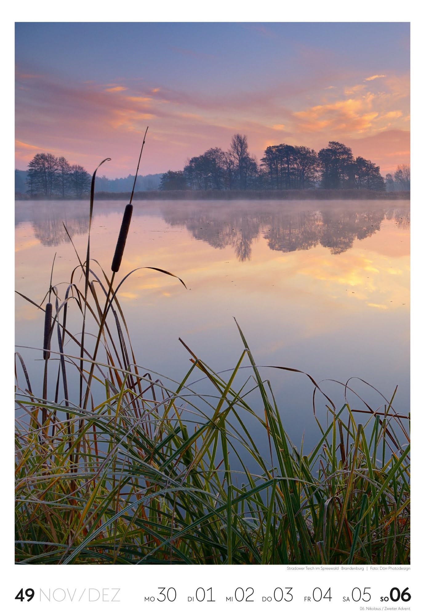 Natur Wochenkalender 2026 | Natur-Kalender mit 53 großformatigen Bildern im Hochformat (29x42 cm) | Heimische Flora und Fauna