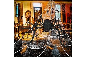 Spider Web House Outdoor Halloween Decorations - Triangular Spider Web with Giant Spider and Cobwebs