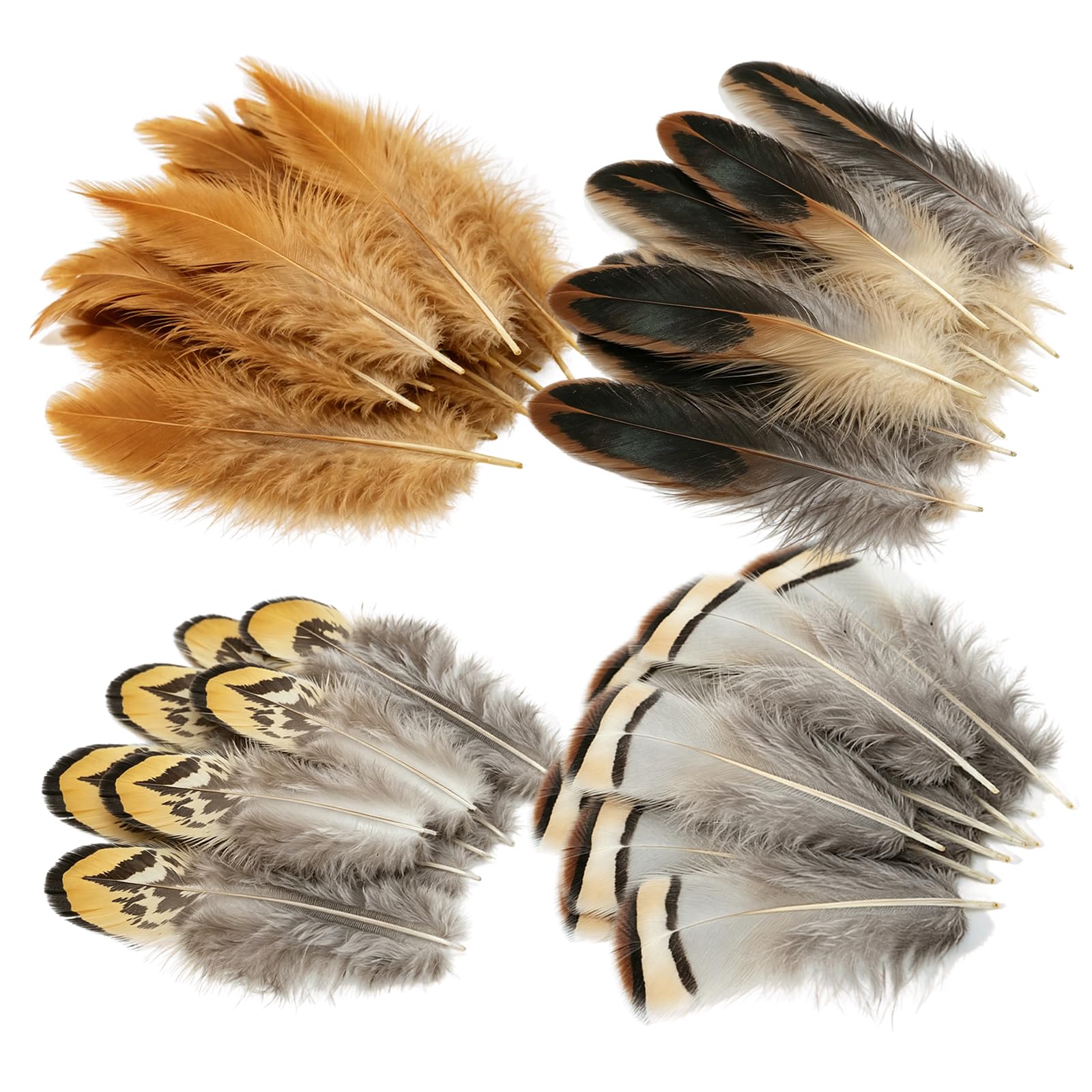 100pcs Feathers for Crafting, Spotted Brown Craft Feather, Pheasant Feathers for DIY Crafts, Art Projects and Party Decorations(2-4 Inch)