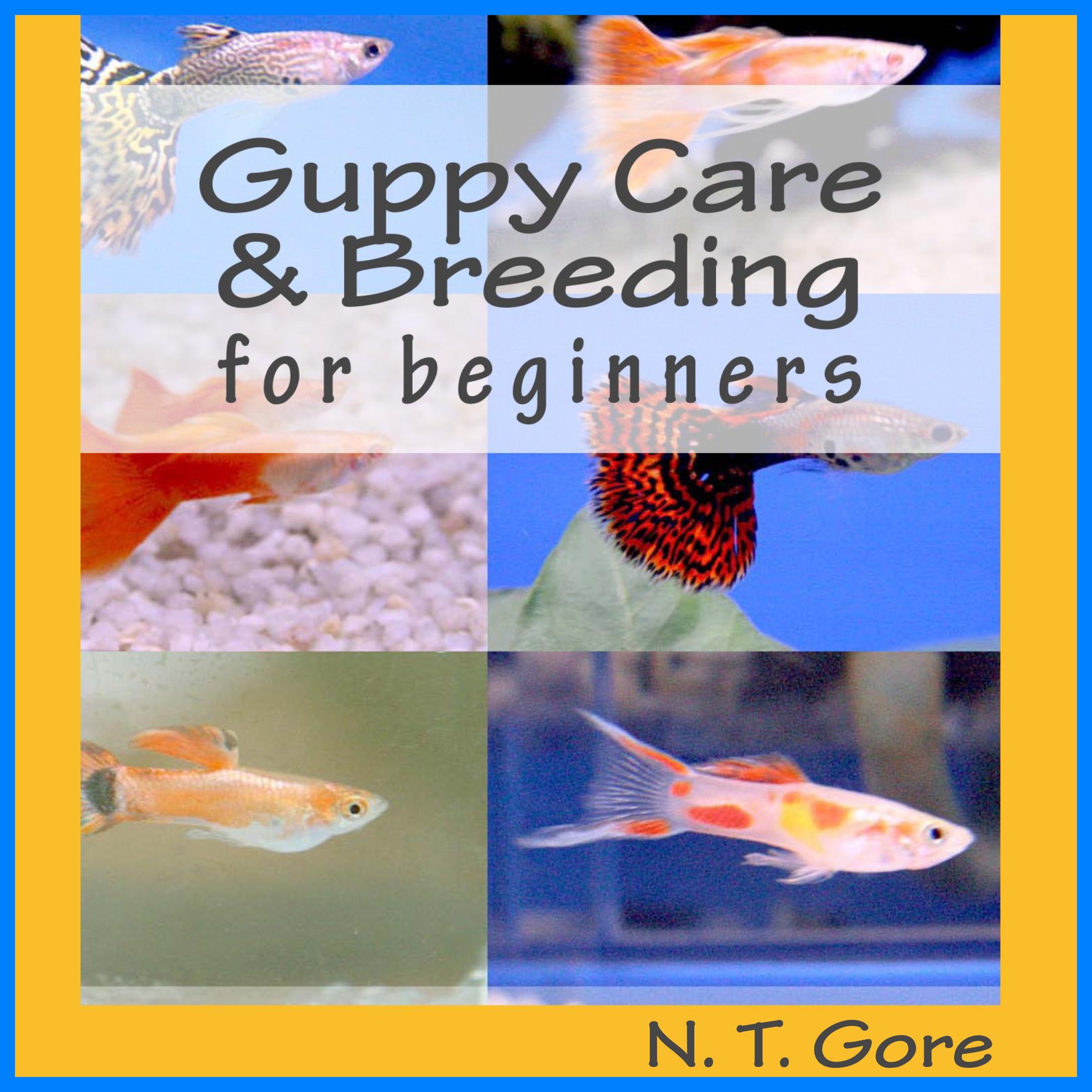 Cover art for Guppy Care & Breeding for Beginners