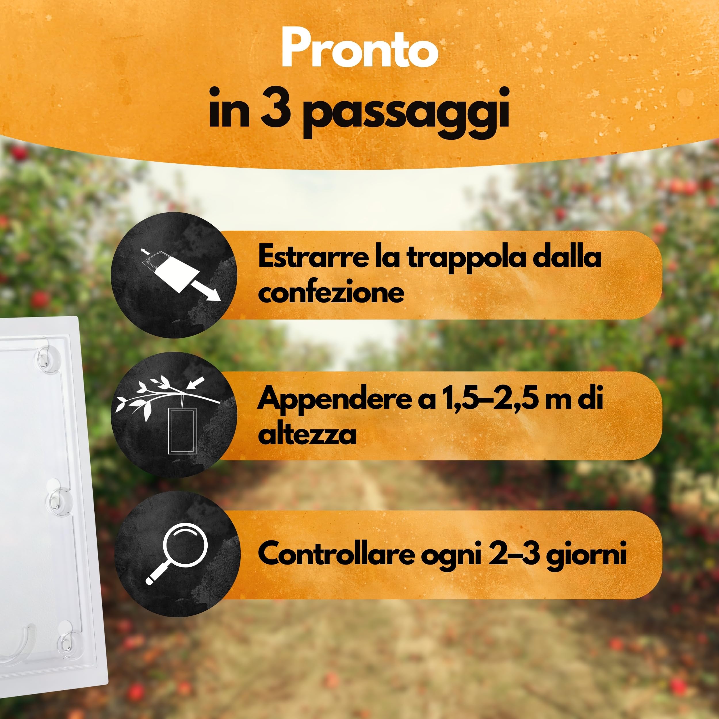 Panteer Trappola per carpocapsa – 3 Pezzi – con Cavo – Trappole a feromoni per melo e Pero – Monitoraggio Cydia pomonella – Fino a 8 Settimane – Senza Chimica – per Alberi da frutto