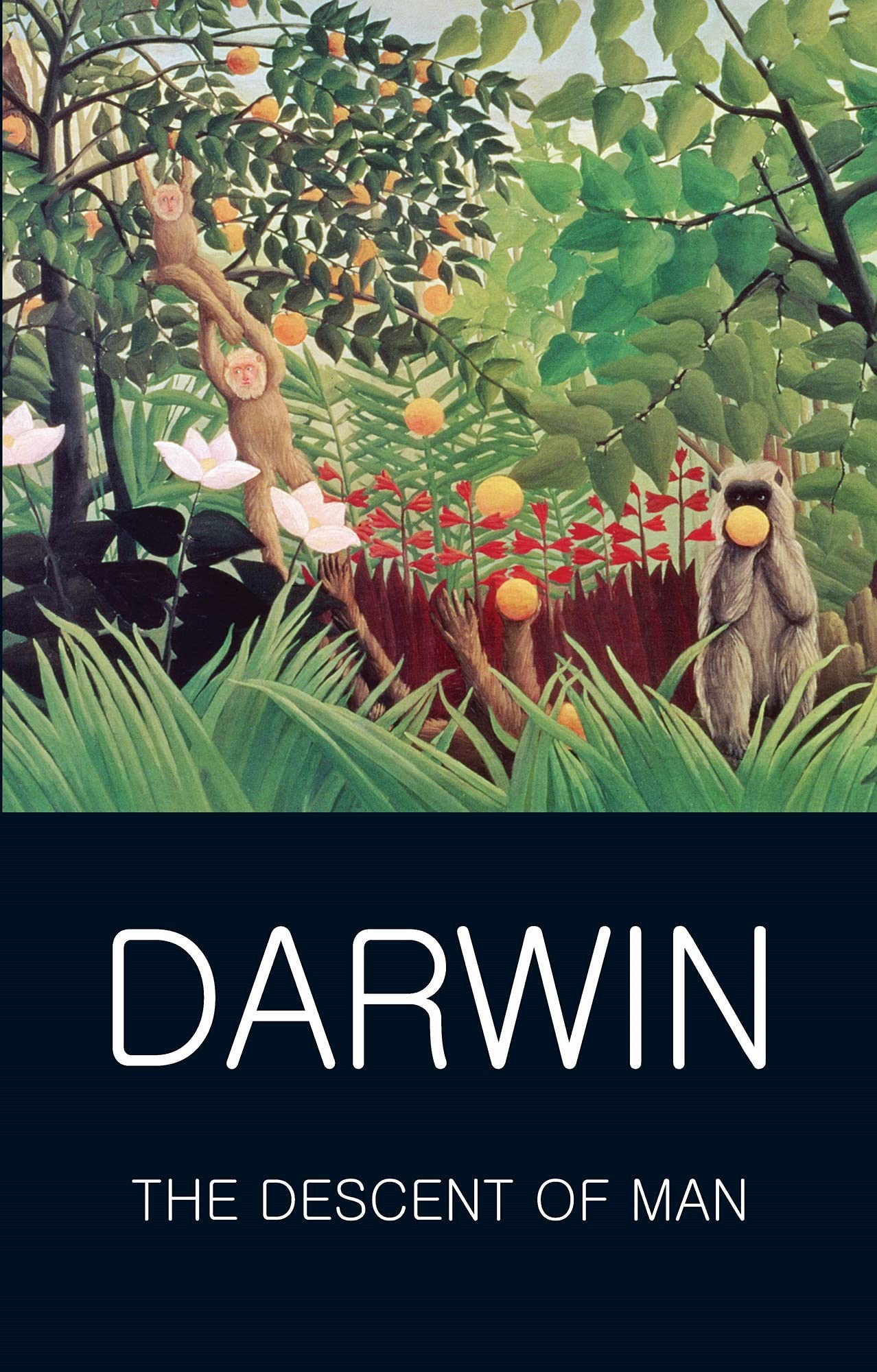 The Descent of Man (Classics of World Literature)