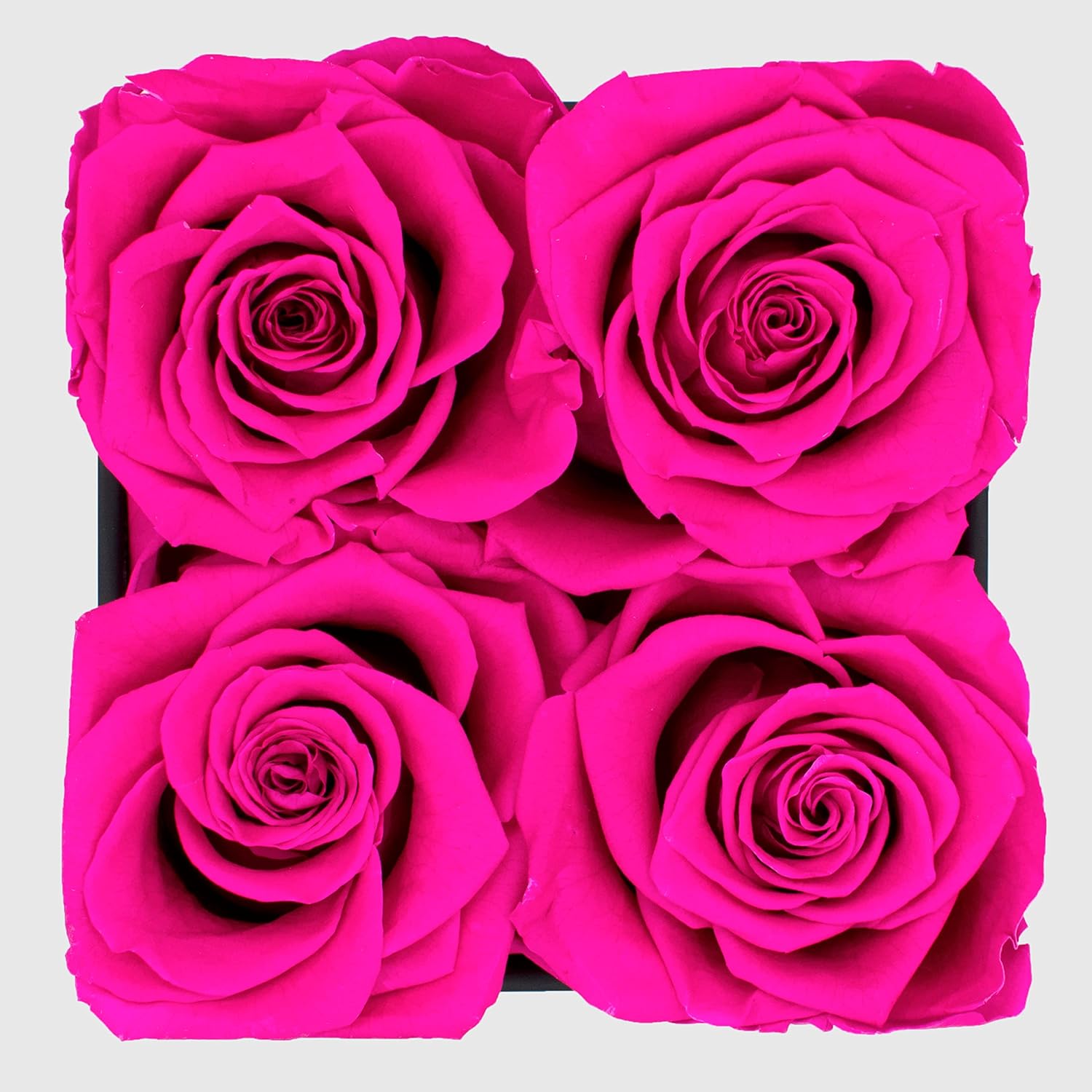 Buy Chloe's Graceful Fleurs Real Roses that Lasts for Years Fresh