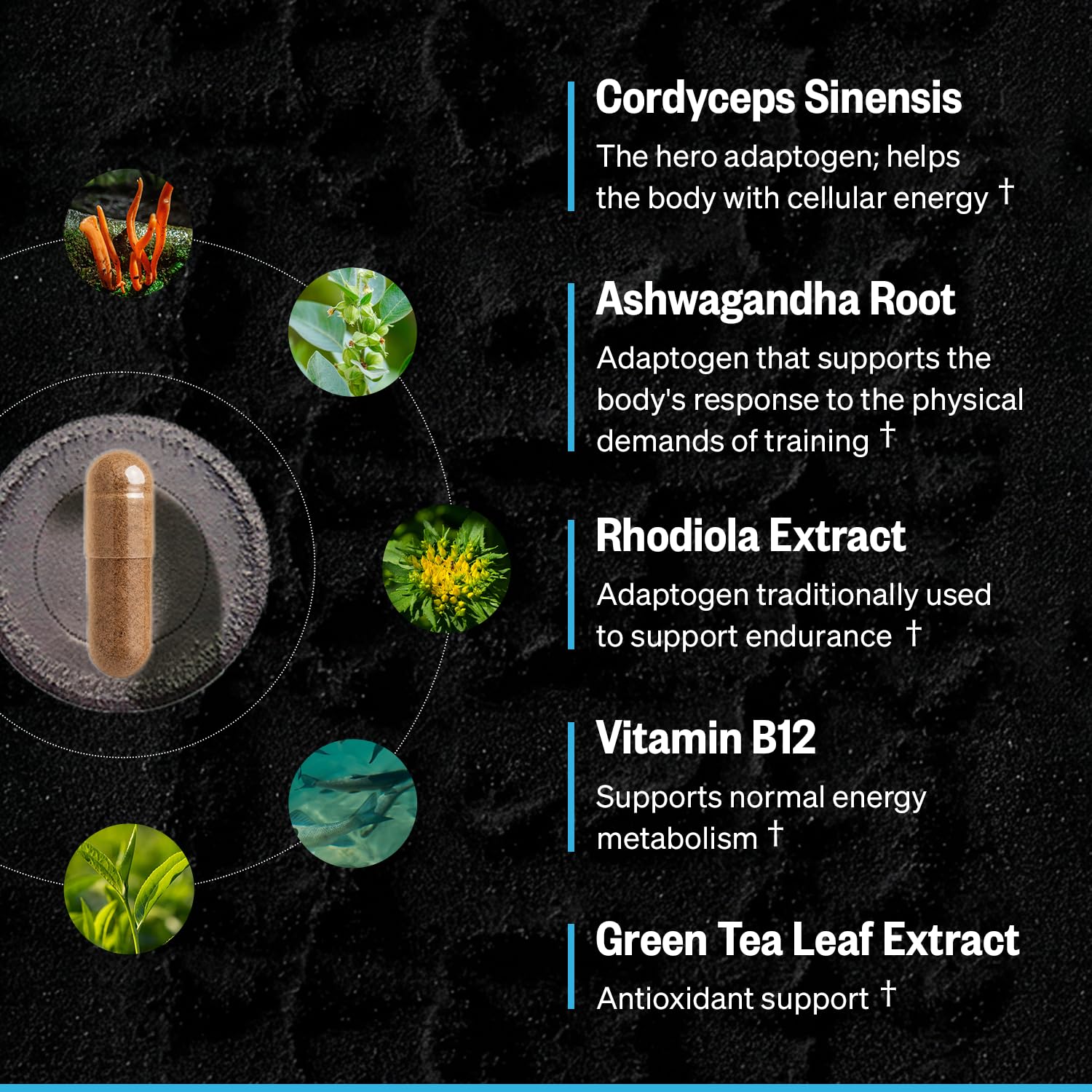 ONNIT Shroom Tech Sport Cordyceps Mushroom Pre-Workout Capsules, 84 Count — Amazon image 8