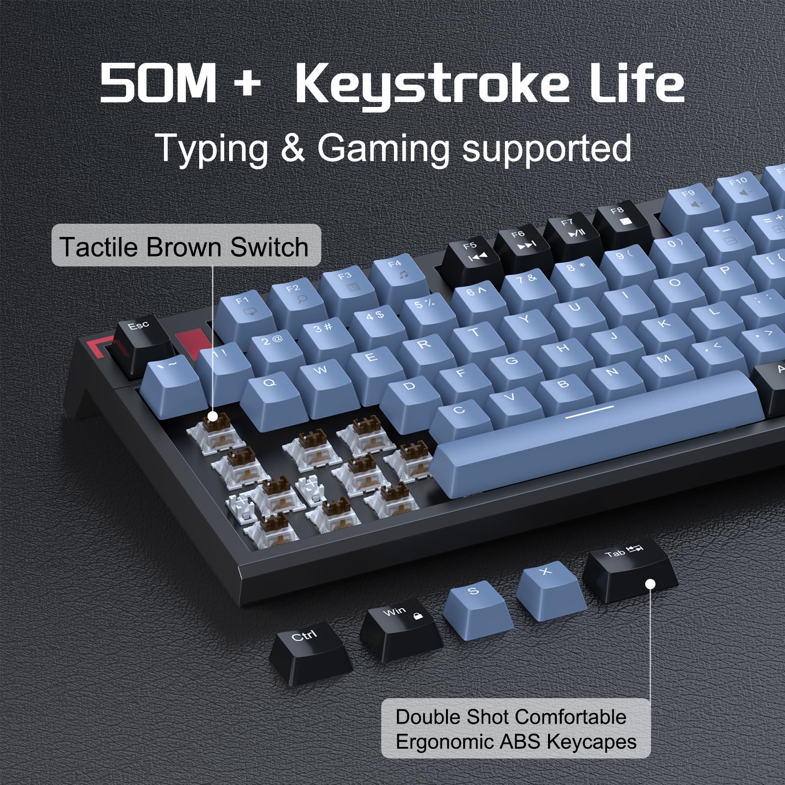 Snapklik.com : Compact 80 Percent Mechanical Gaming Keyboard, Wired TKL