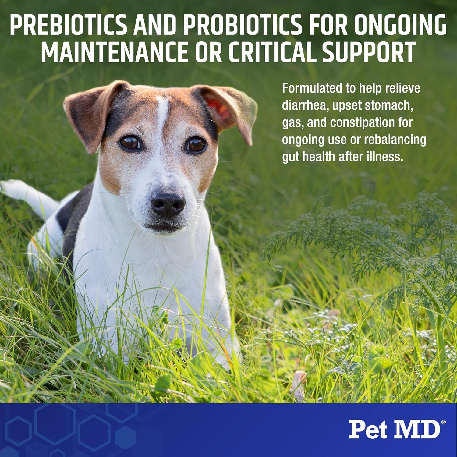 Pet MD Biotic Probiotics for Dogs & Cats Kuwait Ubuy