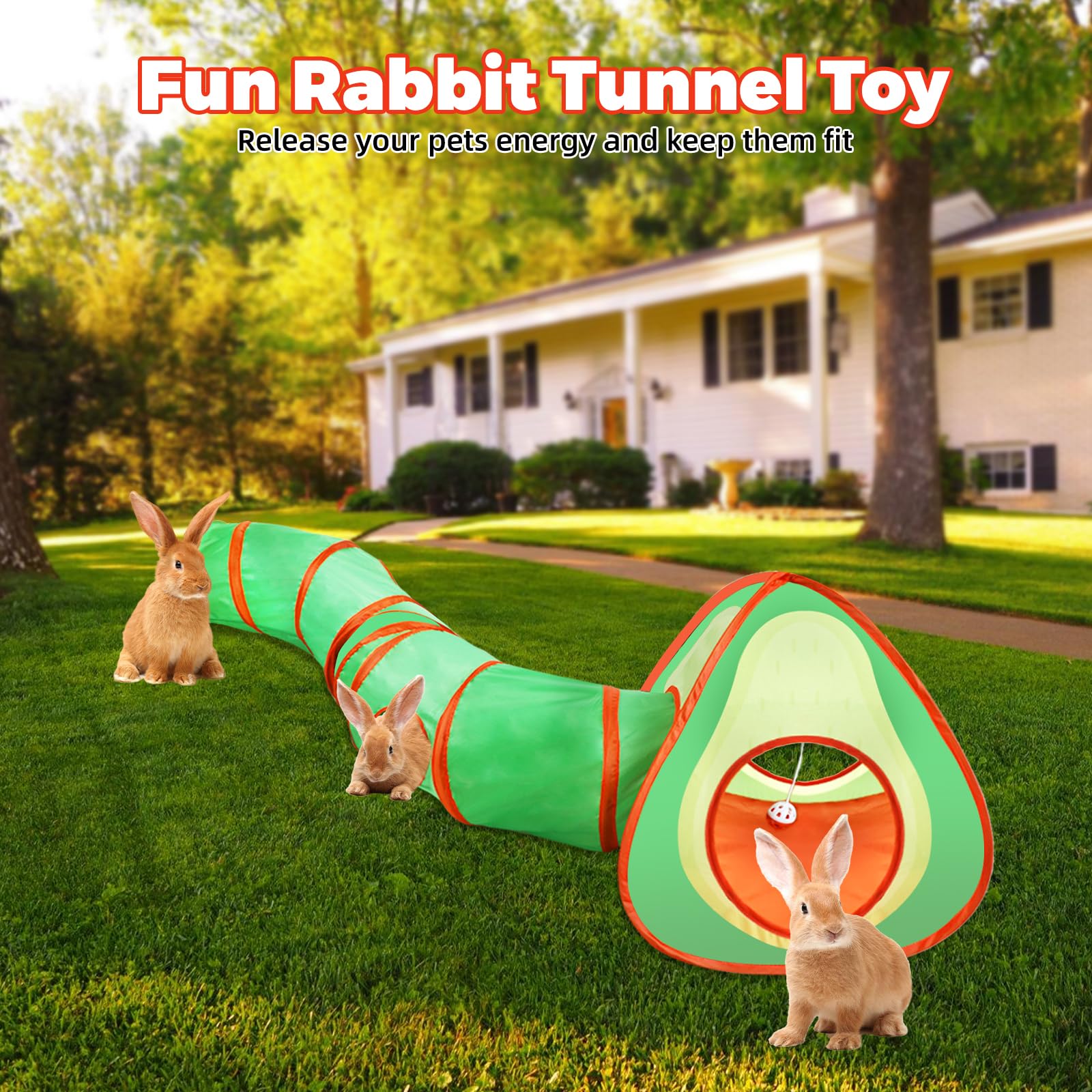 YUEPET Tunnel et cube pliable pour lapin interactif avec balle de jeu pour lapin nain, lapin, cochon d'Inde (avocat)