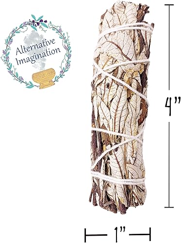 Miniatura 4 de Varillas de incienso de yerba real Santa – Varillas de mancha natural para limpieza espiritual – Paquete de 3 paquetes