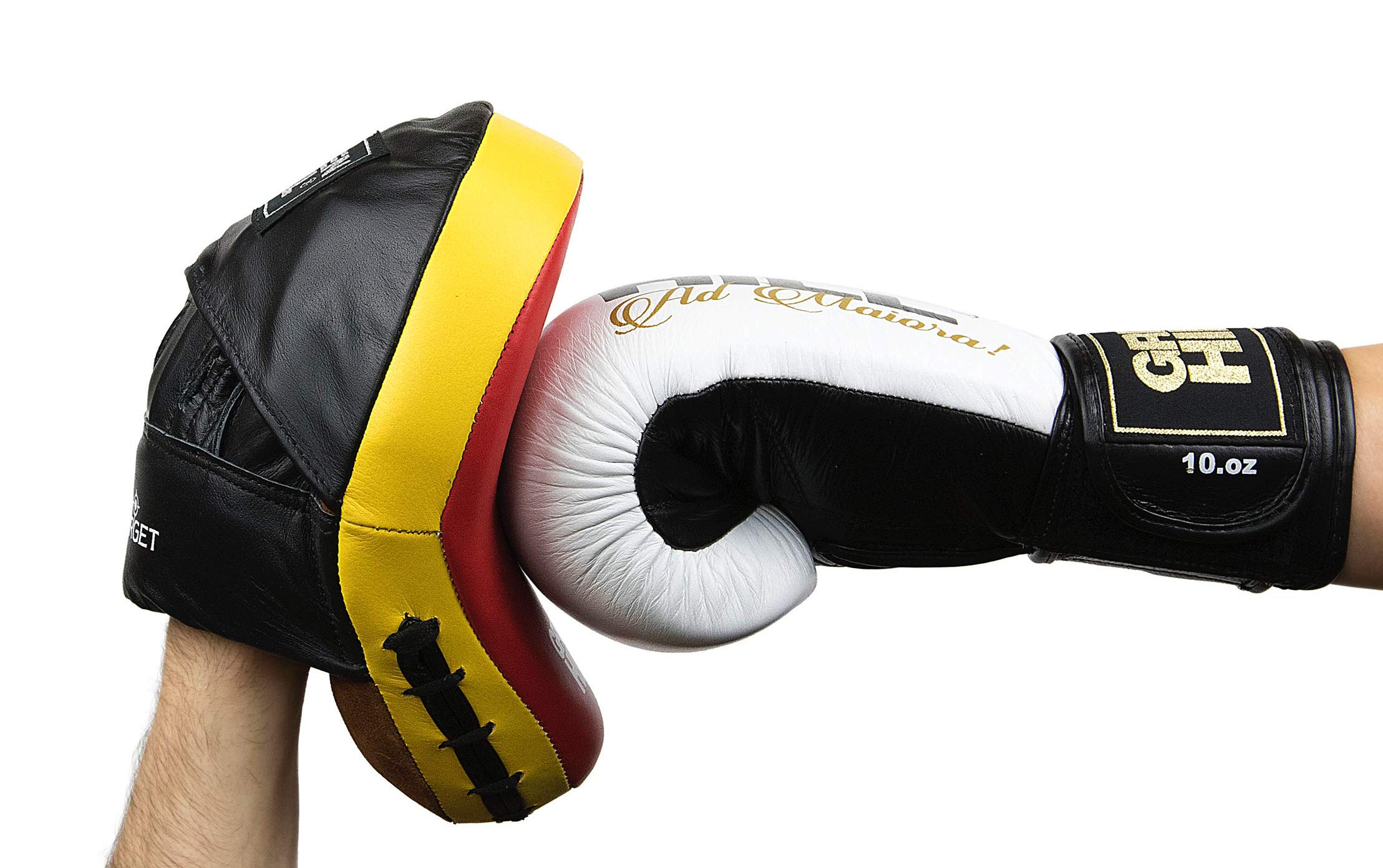 GREEN HILL Colpitori Fawn Target Focus Mitt Guanti da Passata Boxe Ricurvi Pelle Similpelle Vera Pelle Modello Target