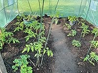 Review Image by Victoria G. DeSimone Victoria G. DeSimone