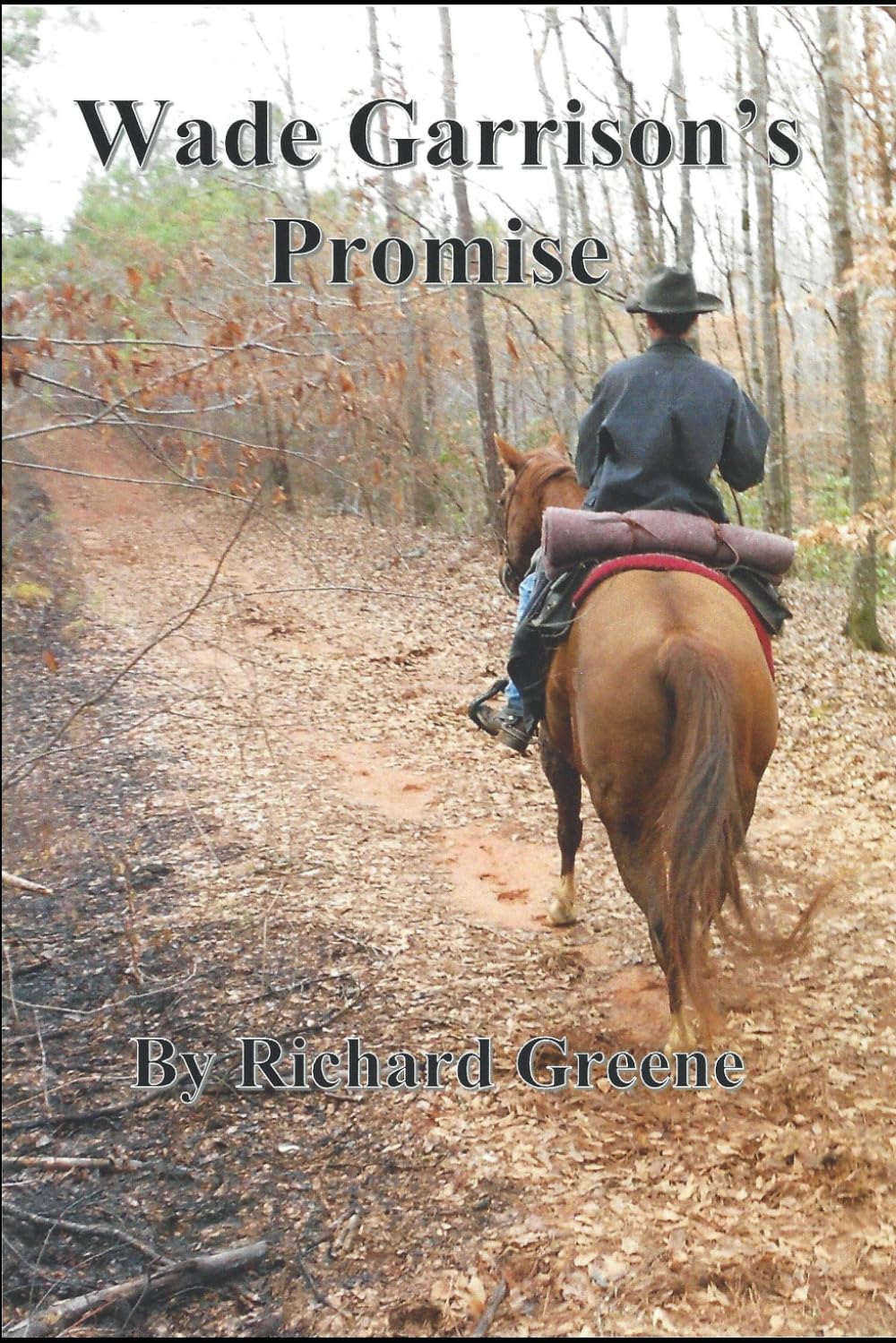 Buy Wade Garrison's Promise — BookShops.in