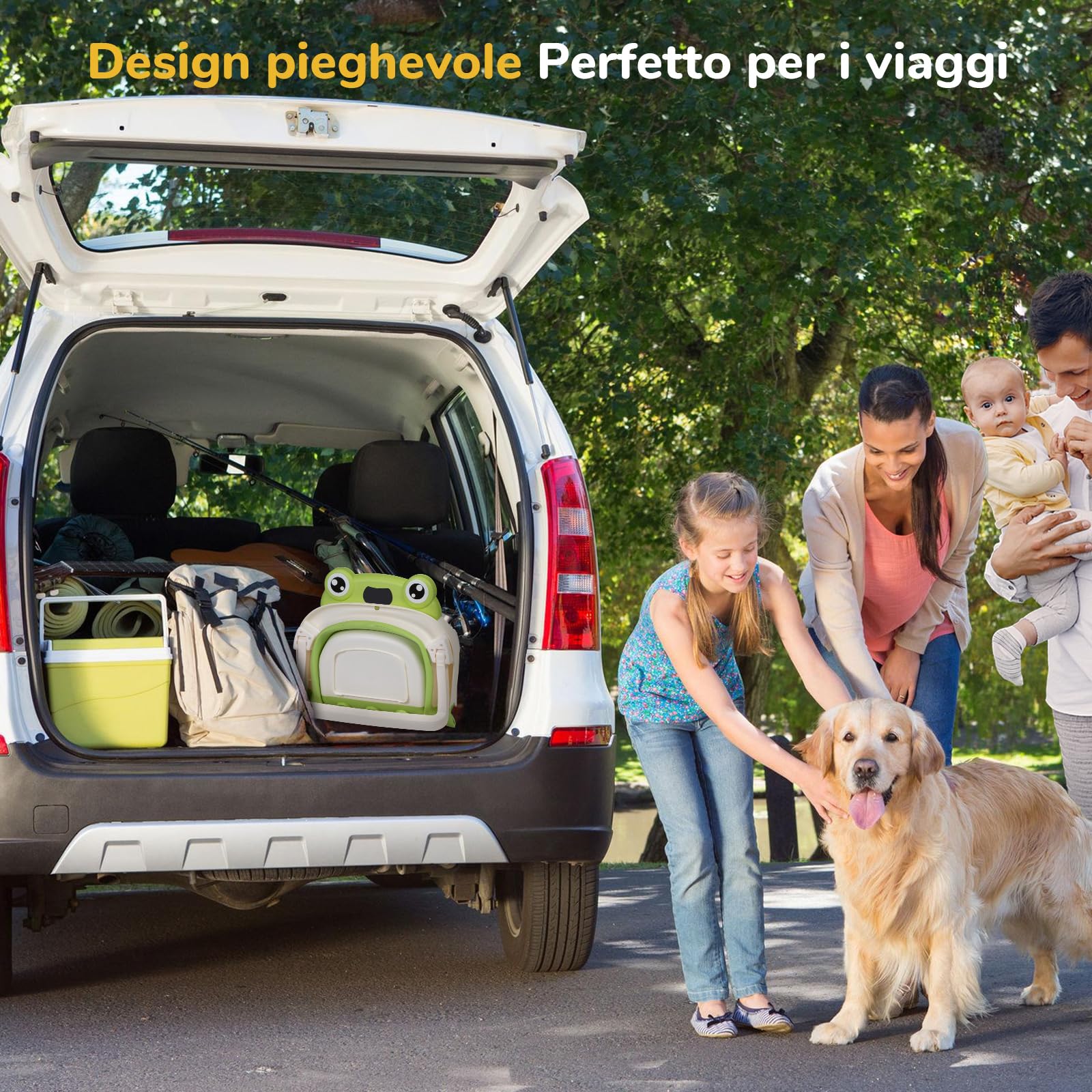 DEANIC Vaschetta Bagnetto Neonato Con Cuscino, Riduttore Da 0-24 Mesi, Appendibile Pieghevole Salvaspazio (Verde)