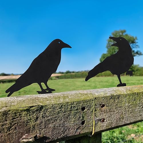 Miniatura 4 de Qmetalart Raven - Decoración de Halloween para exteriores, decoración de cuervo para exteriores, diseño de pájaro negro, mini adorno de jardín,