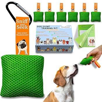 How to Design Scent Based Games for Senior Dogs With Low Vision: Fun & Safe Tips