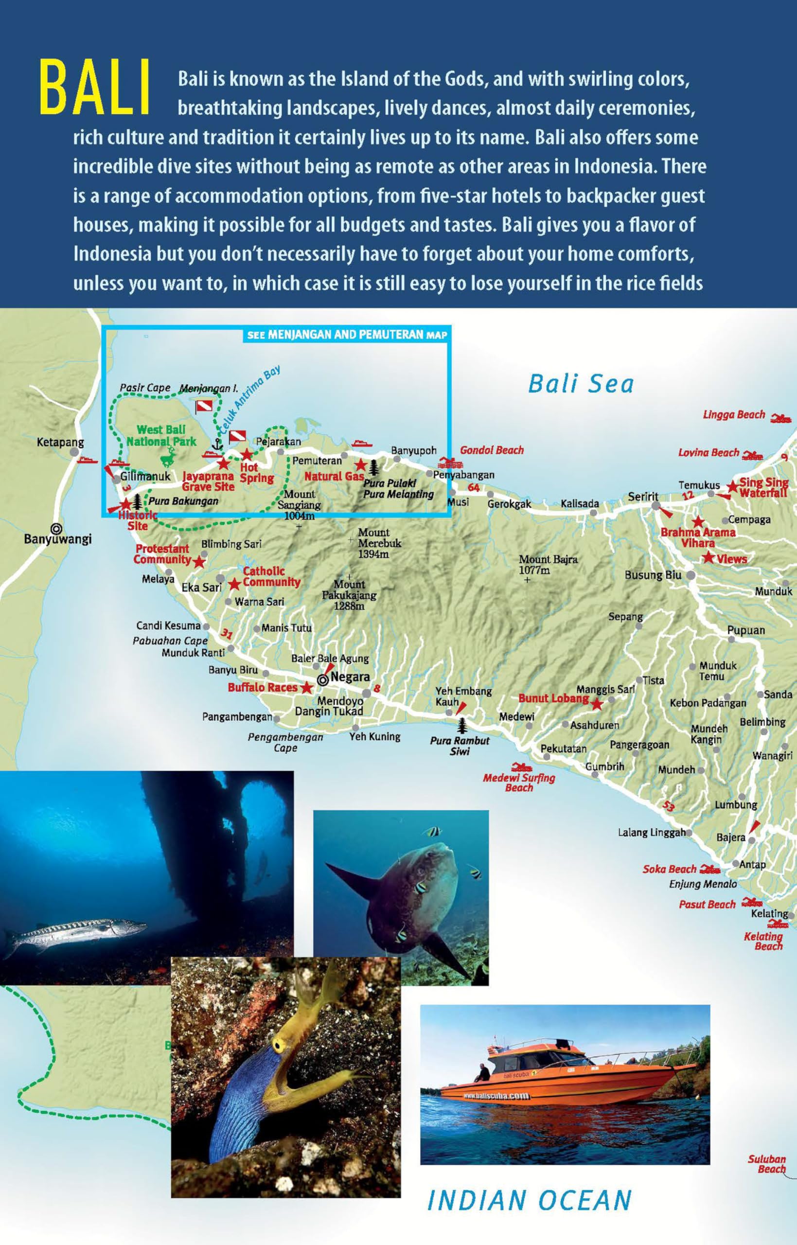 The Ultimate Guide to Diving in Indonesia: Exploring the Tropical Seas with the World's Greatest Marine Biodiversity