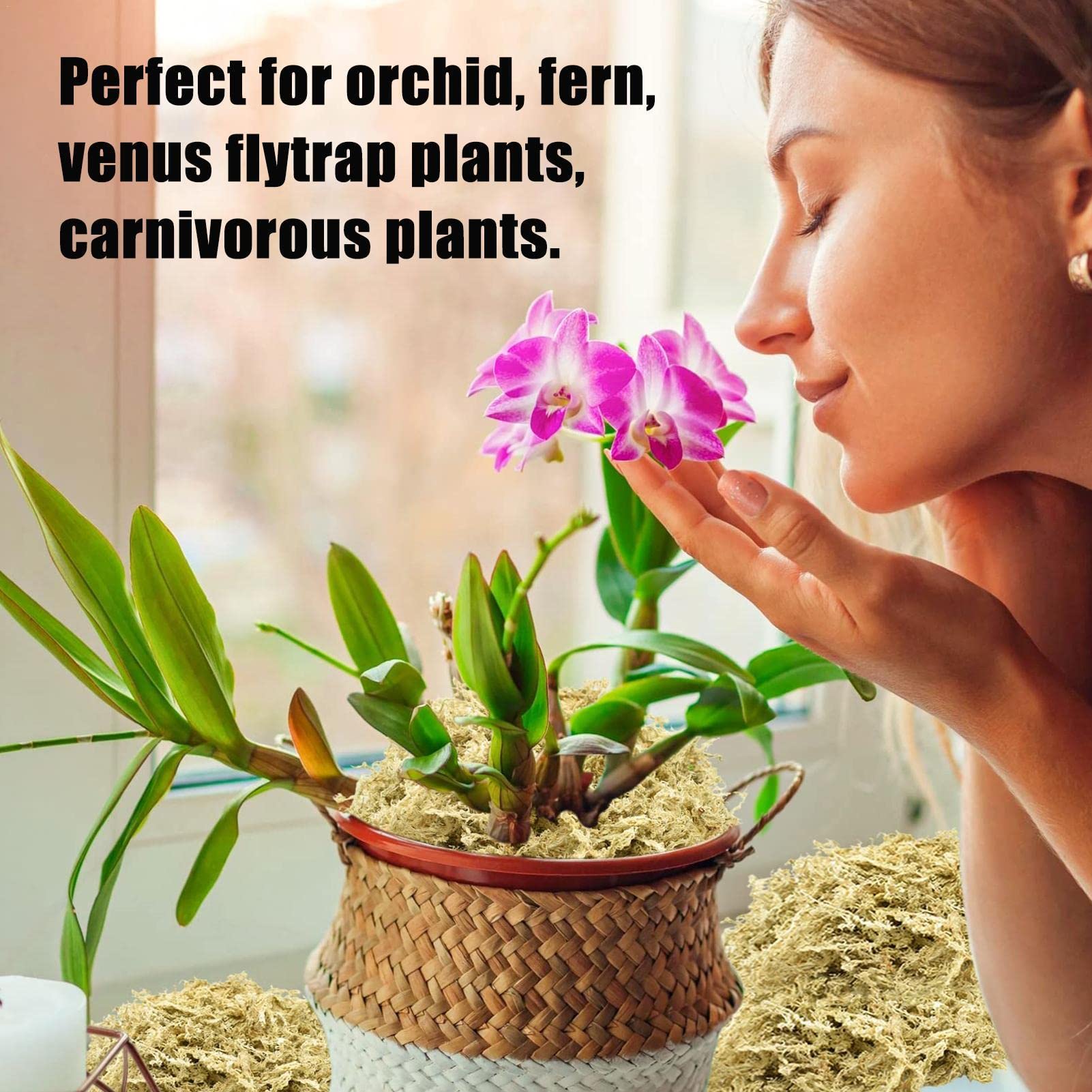Cheysrae 5 Langfaseriges Torfmoos - Orchidee Torfmoos getrocknet | Tolle Orchideen-Erdmischung, perfekt für die Pflanzenvermehrung, natürlich, 5,3 oz/150 g