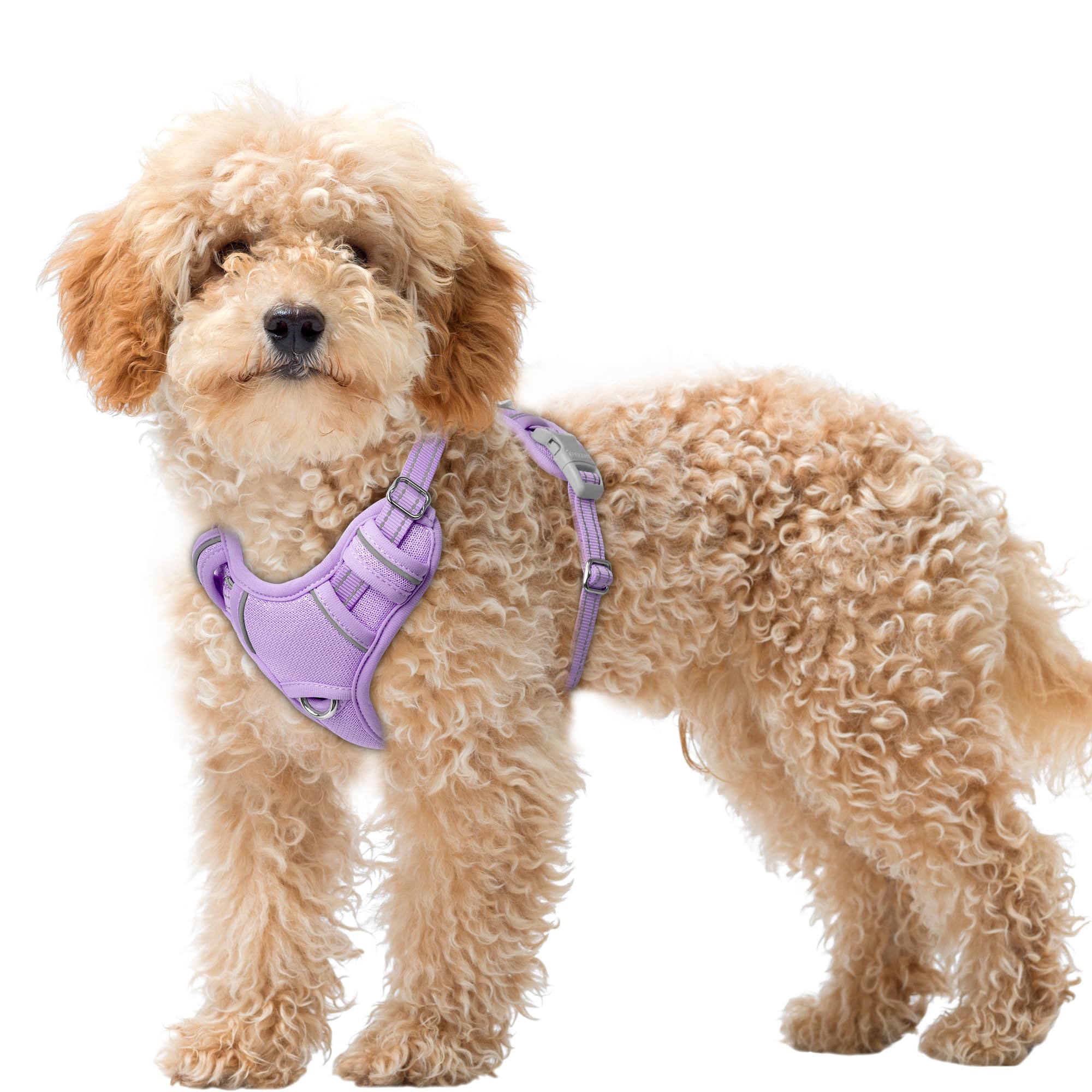 BARKBAY No Pull Dog Harness Large Reflective Dog Harness with Front Clip and Easy Control Handle for Walking Training Running with ID tag Pocket(Violet Purple,XS) — image 1