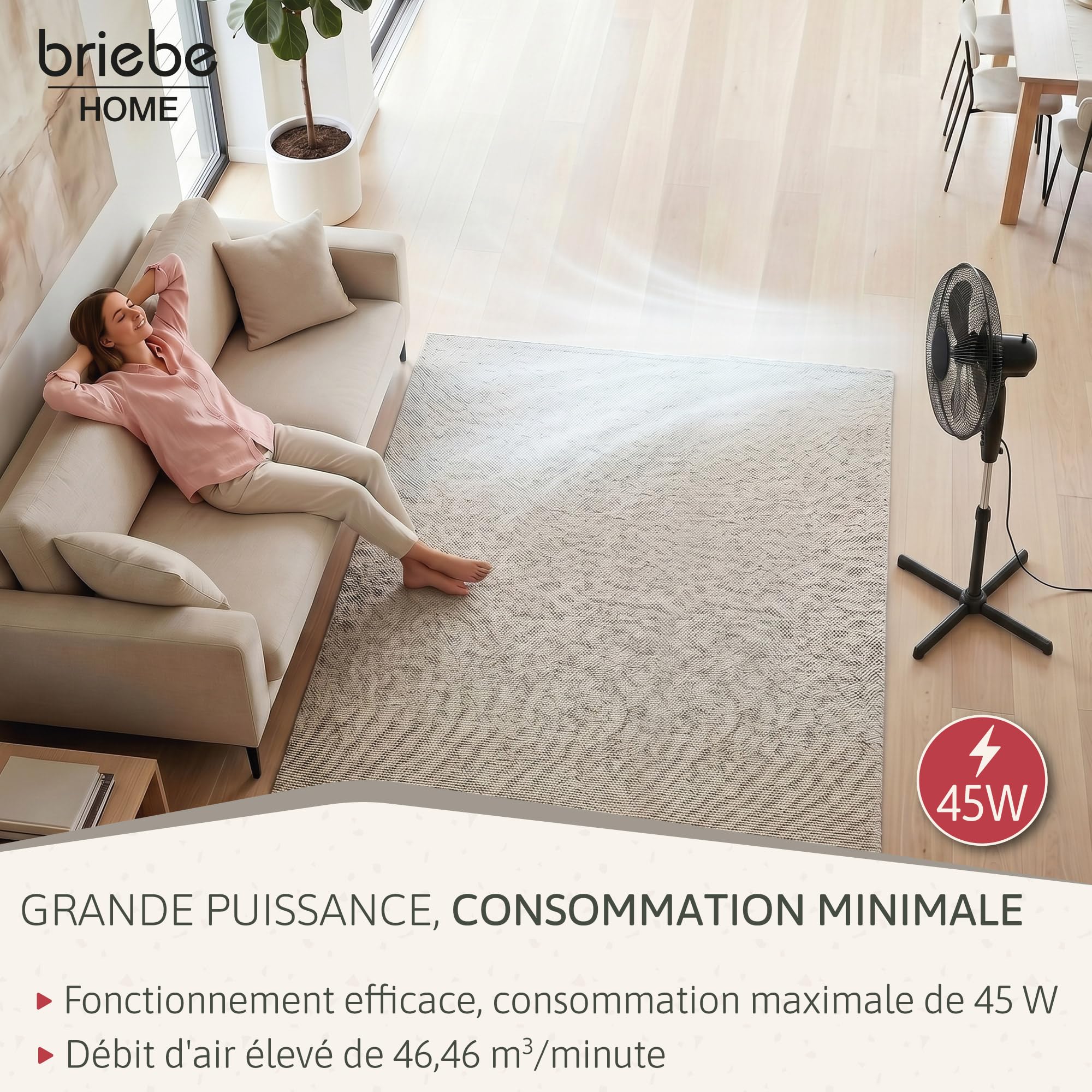 briebe Ventilateur sur Pied Silencieux, Télécommande, Minuterie jusqu'à 7,5 Heures, Oscillation 80º, 3 Modes de Fonctionnement, 3 Vitesses, Hauteur Réglable 100-125cm, Ø 40cm, Noir