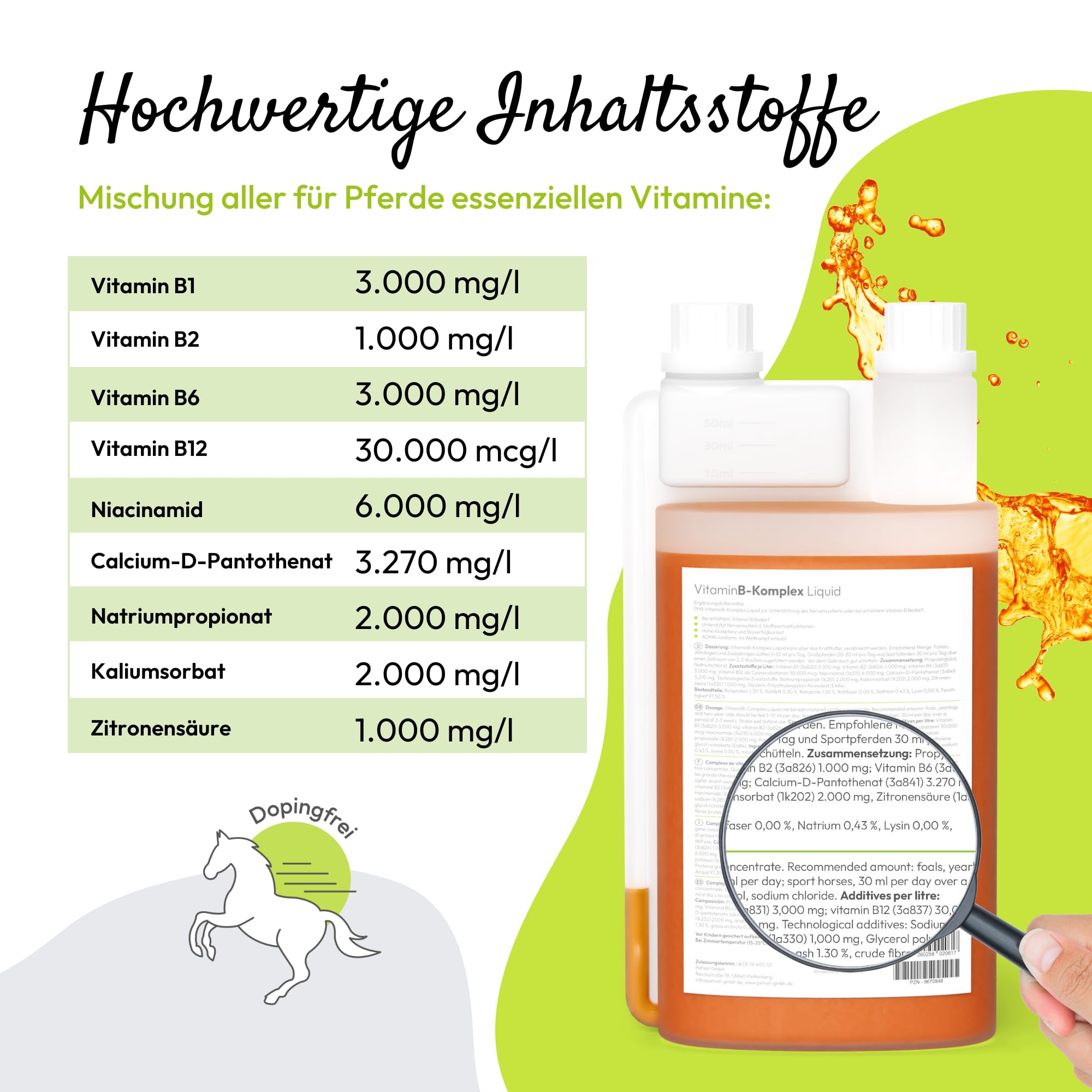 PHA-2 Caballo, Forro Complemento para Apoyo del Sistema nervioso y función de Cambio de plástico, líquido, Complejo de Vitamina B Liquid, 1000 ml