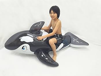 ドウシシャ クリアシャッチー シャチ 浮き輪 フロート 215cm Amazon | ドウシシャ クリアシャッチー 215cm シャチフロート