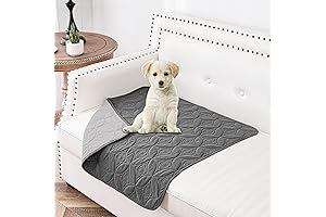 Waterproof Couch Covers for Dogs