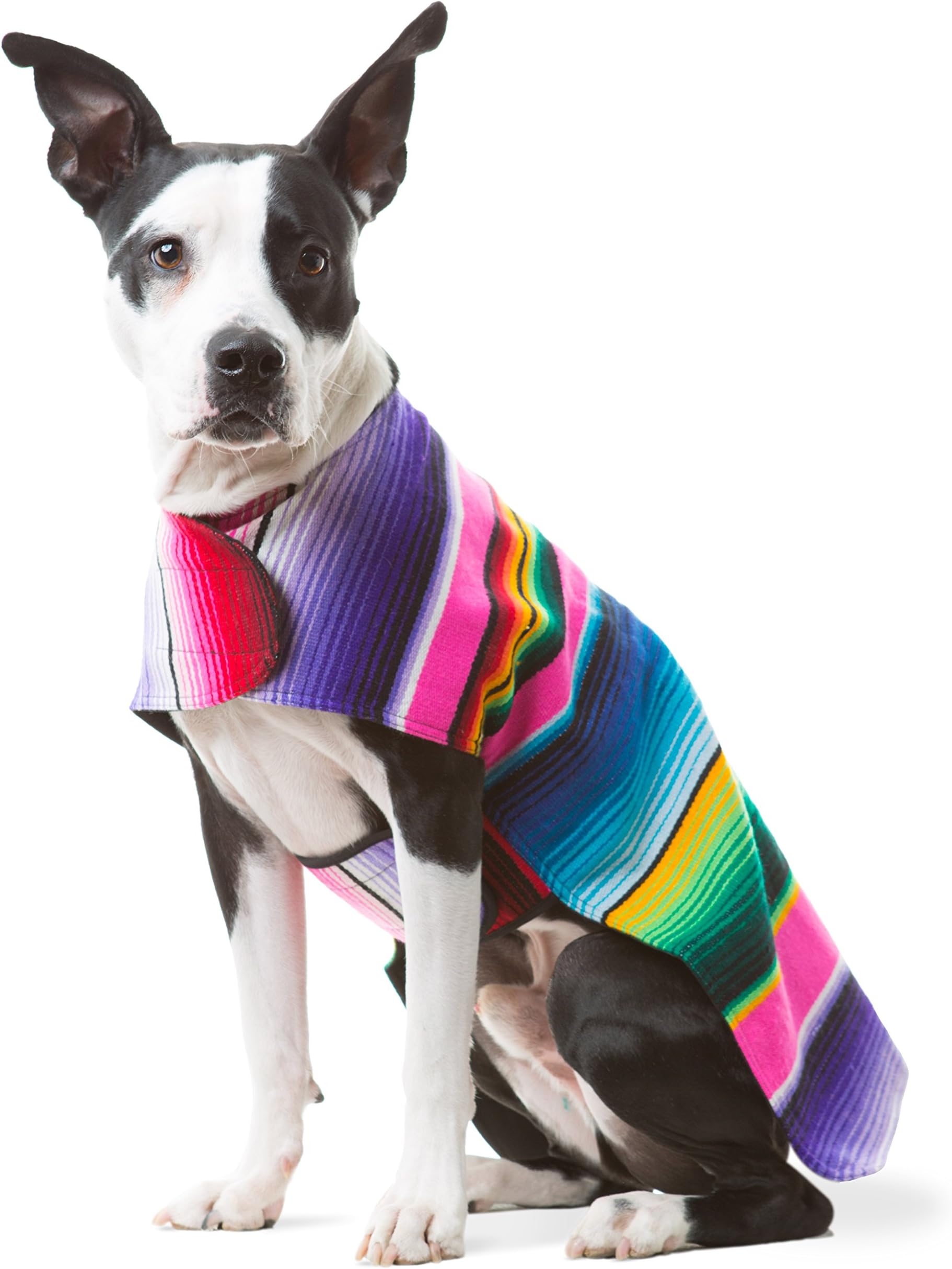 Dog Clothes - Handmade Dog Poncho from Authentic Mexican Blanket by Baja Ponchos (Pink, X-Large)