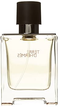 Amazon.com : Hermes Terre D'hermes Eau de Toilette Spray