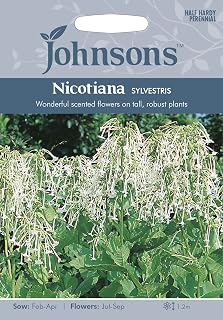 Johnsons 13045 Flower Seeds, Nicotiana sylvestris, White