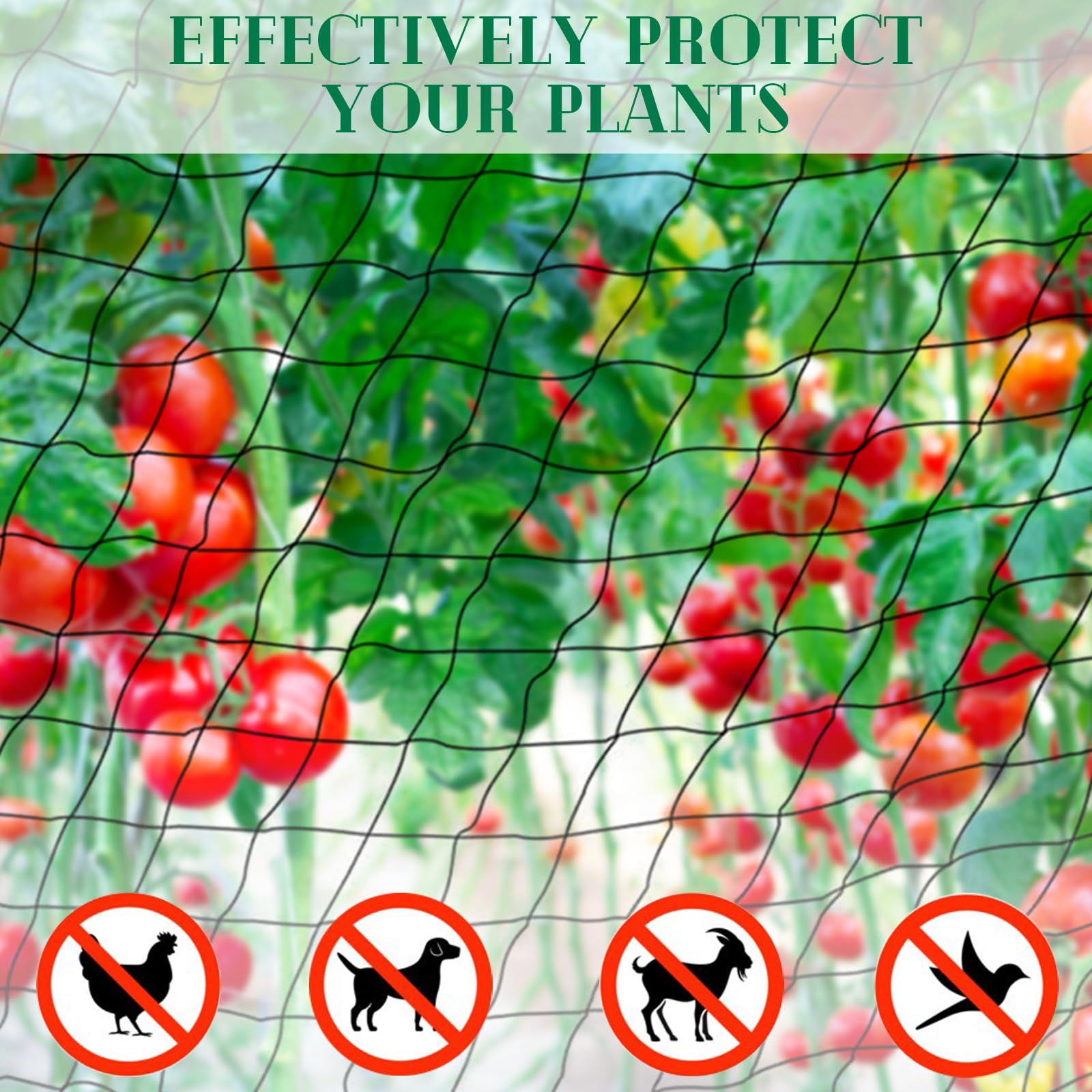 Filet Anti Oiseaux Pigeon 15m x 15m Mailles 2.5 cm Protection Jardin