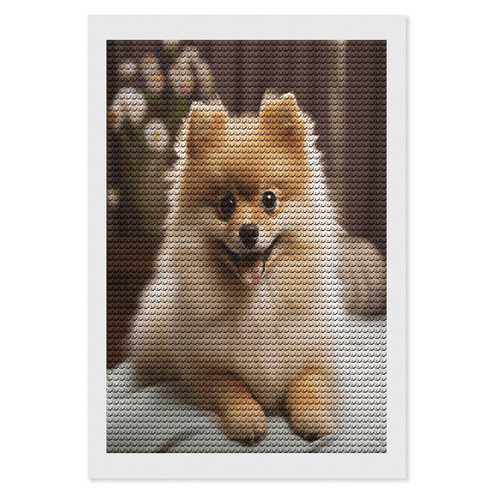 VstaDank Cute Pomeranian Dog Diamond Painting Kits Exquisite DIY Full Round Drill Diamond Dots Painting for Adults Beginner Diamond Photo Paint with Diamond Picture Art Wall Decor 8"x12"