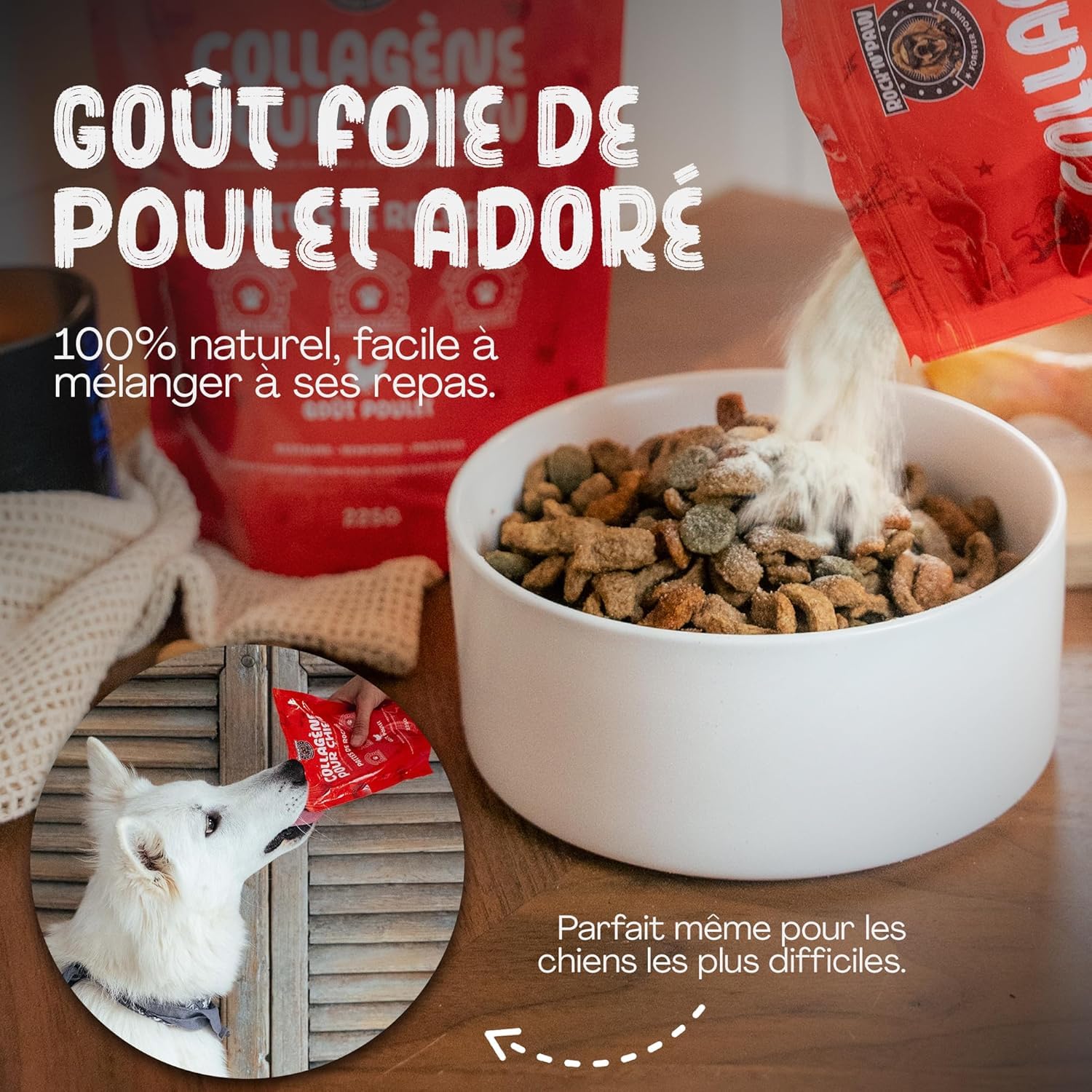 Rock & Paw | Collagène Chien 2300mg Haute Concentration | Articulations & Arthrose Chien | Glucosamine, Chondroïtine | Idéal Grands Chiens | Poudre Poulet | Fabriqué en France | 225g